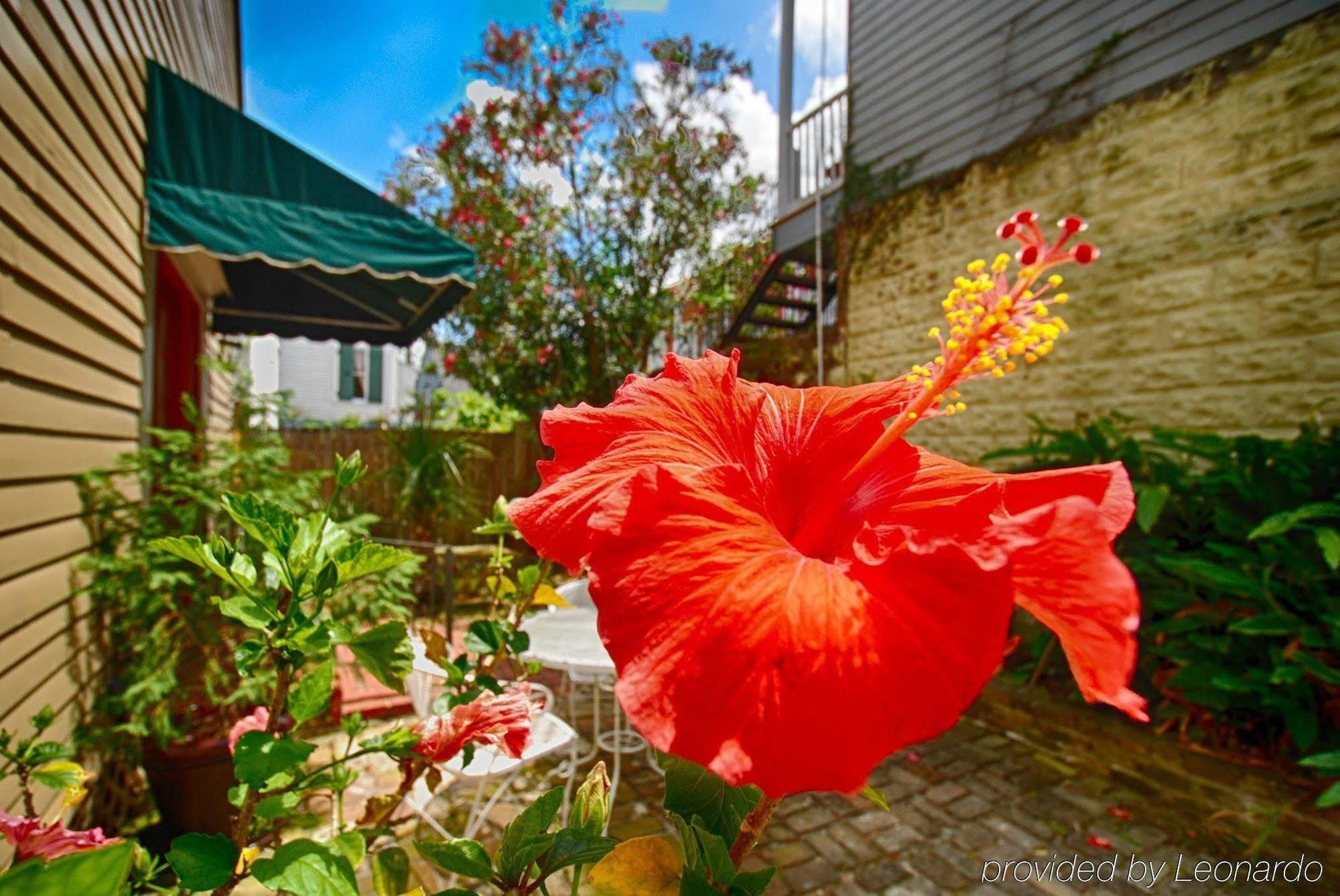 Lamothe House Hotel A French Quarter Guest Houses Property New Orleans Exterior photo